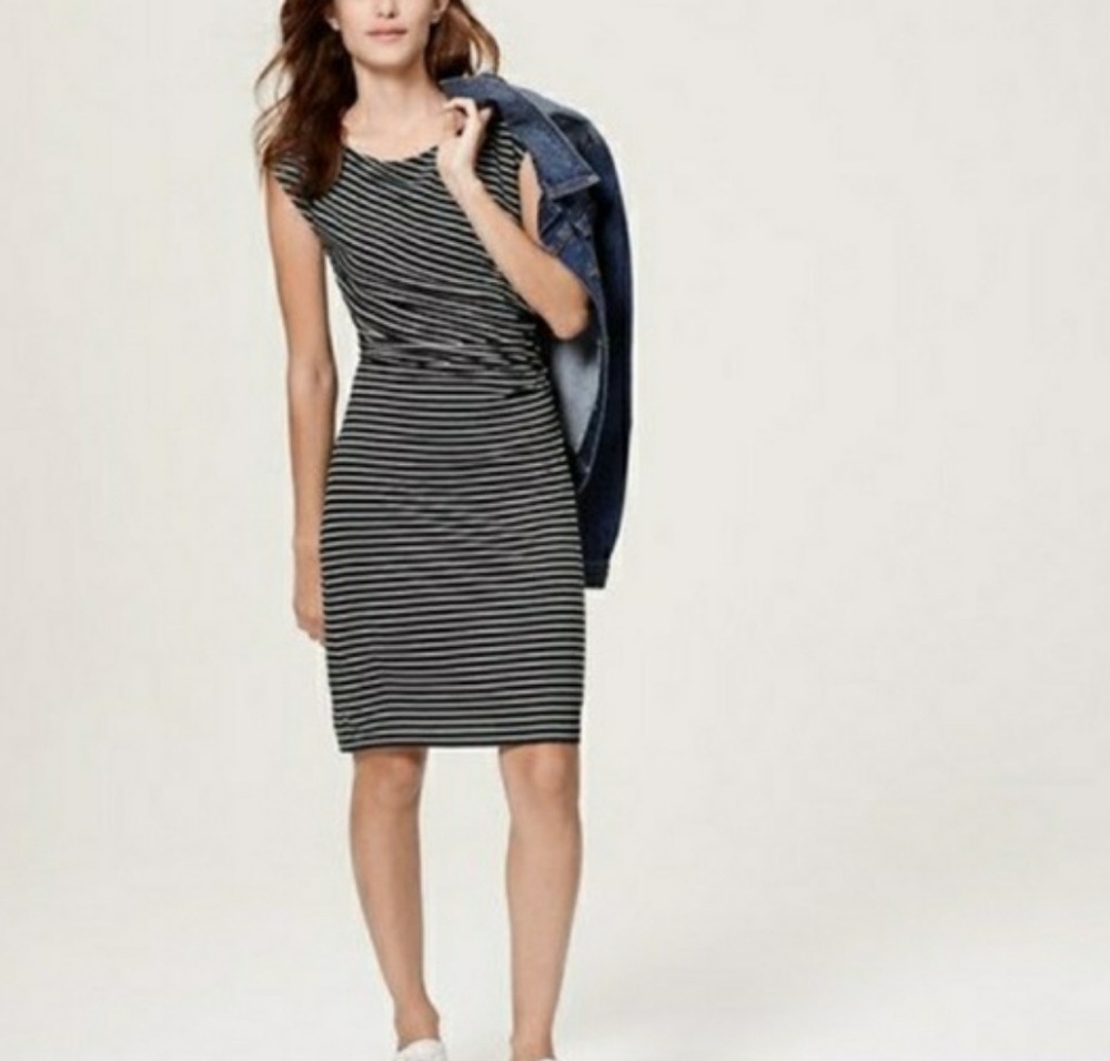 Ann Taylor LOFT dress